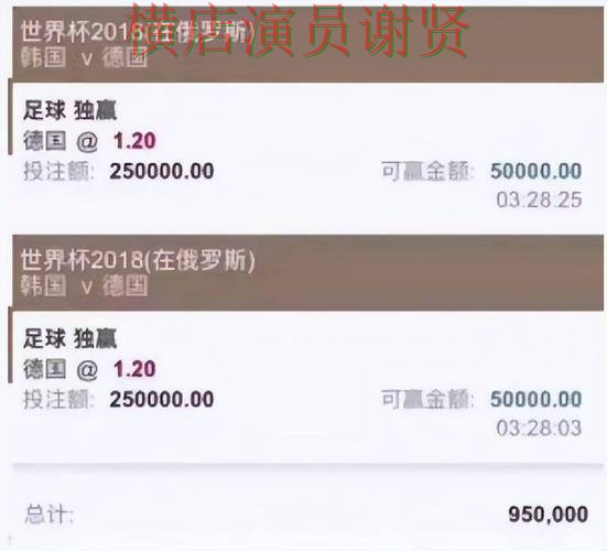 新手必看：世界杯买球平台访问方式详解 + 世界杯官方信息